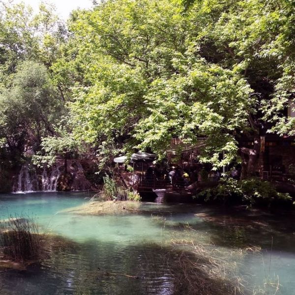 Sarısu Mesire Alanı › Gezi Rehberi | Konyaaltı | Antalya