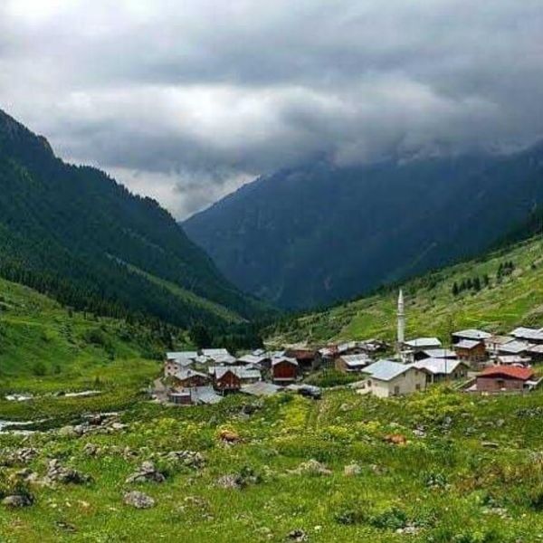 Camili Gorgit Tabiatı Koruma Alanı › Gezi Rehberi | Borçka | Artvin