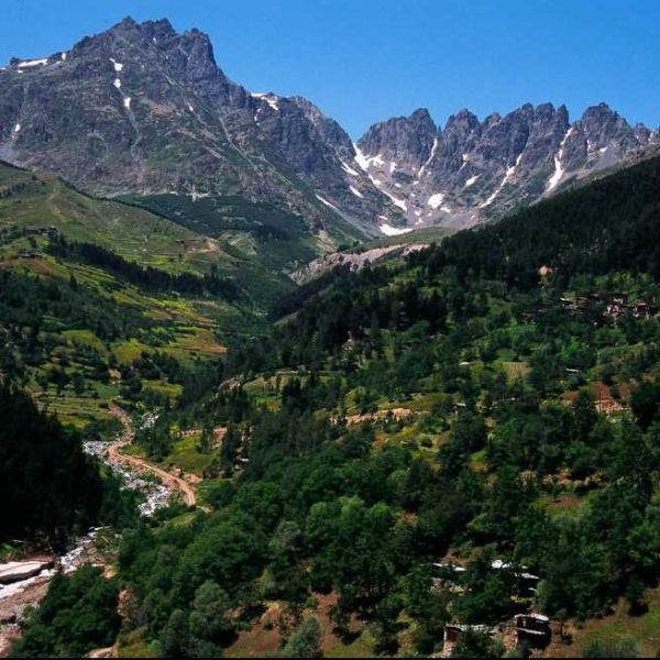 Altıparmak Dağları › Gezi Rehberi | Yusufeli | Artvin