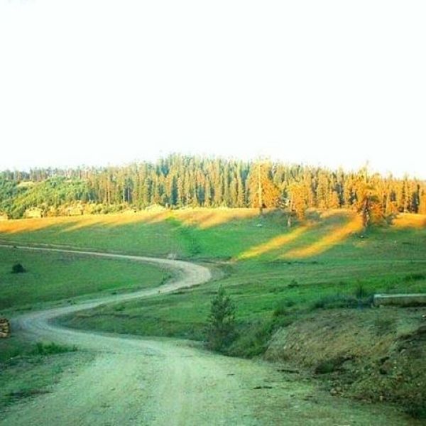 Akçakoca Yaylası › Gezi Rehberi | Mengen | Bolu