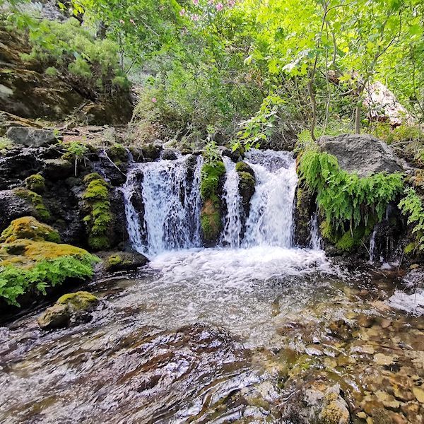 Karanlıkdere Kanyonu › Gezi Rehberi | Altınyayla | Burdur