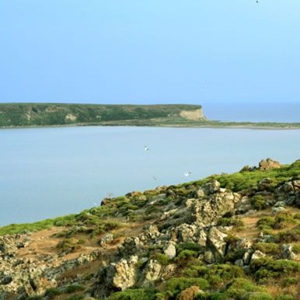 Tuz Gölü › Gezi Rehberi | Gökçeada | Çanakkale