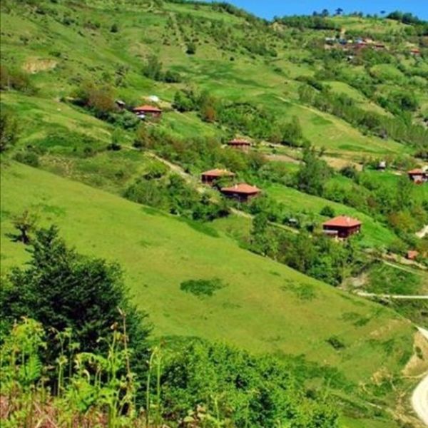 Çırpılar Hisar Tepe › Gezi Rehberi | Yenice | Çanakkale