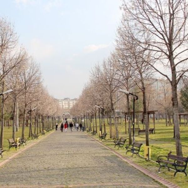 Park Orman › Gezi Rehberi | Kayapınar | Diyarbakır