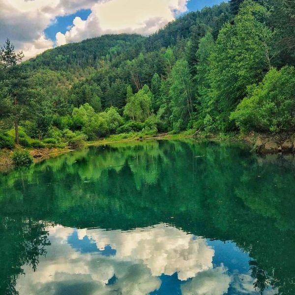 Gölet › Gezi Rehberi | Refahiye | Erzincan