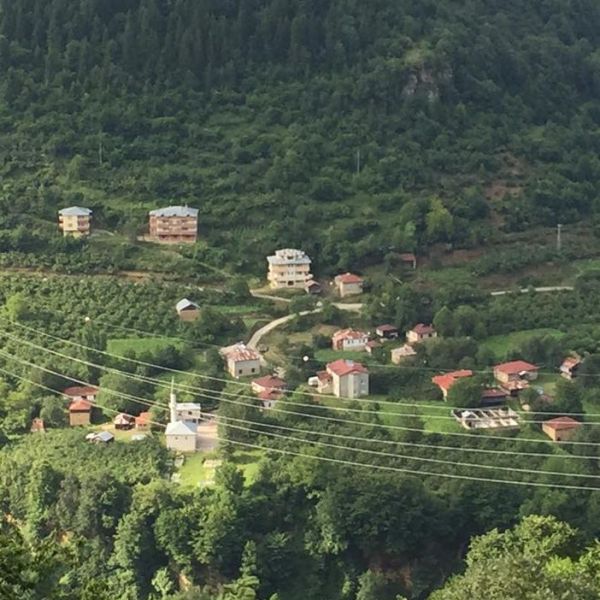 Çağlayan Köyü › Gezi Rehberi | Yağlıdere | Giresun