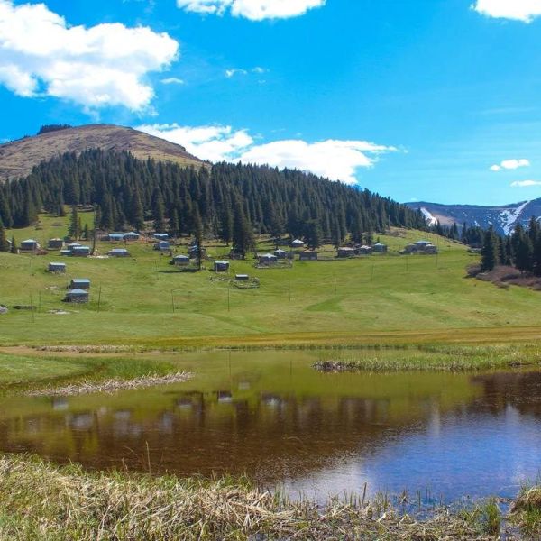 Gölyanı Yaylası › Gezi Rehberi | Yağlıdere | Giresun