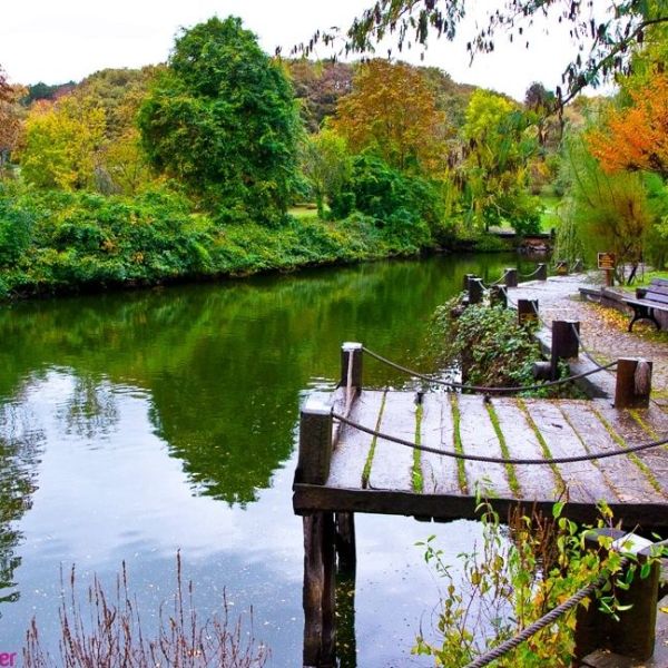 Atatürk Arboretumu › Gezi Rehberi | Sarıyer | İstanbul