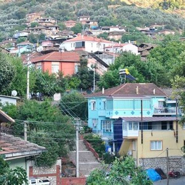 Bademli Köyü › Gezi Rehberi | Ödemiş | İzmir