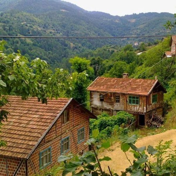 Ortaburun Köyü › Gezi Rehberi | Doğanyurt | Kastamonu