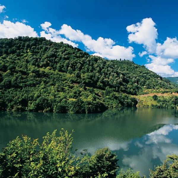 Yuvacık Barajı › Gezi Rehberi | Başiskele | Kocaeli