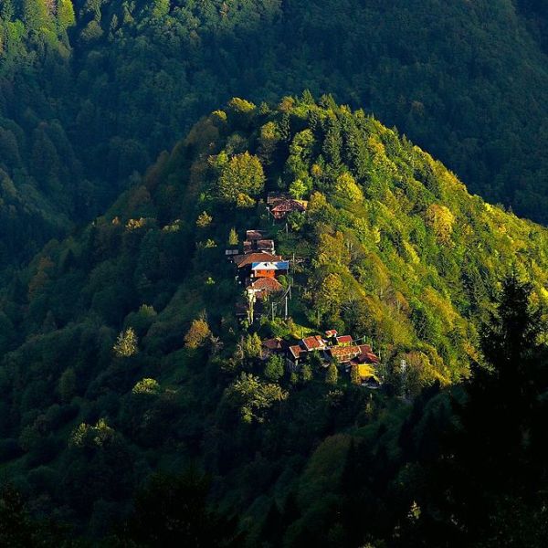 Çinçiva Köyü › Gezi Rehberi | Çamlıhemşin | Rize