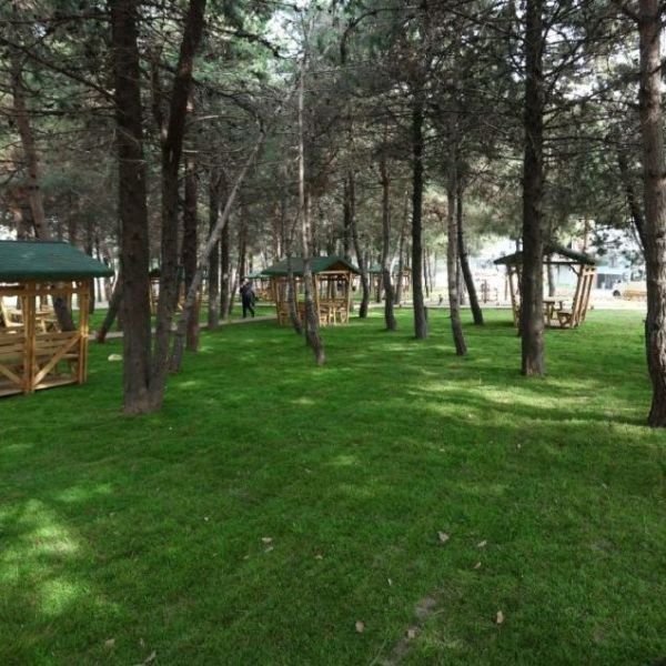 Meşe Park Ormanı › Gezi Rehberi | Canik | Samsun