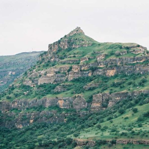 Finik Kalesi › Gezi Rehberi | Eruh | Siirt