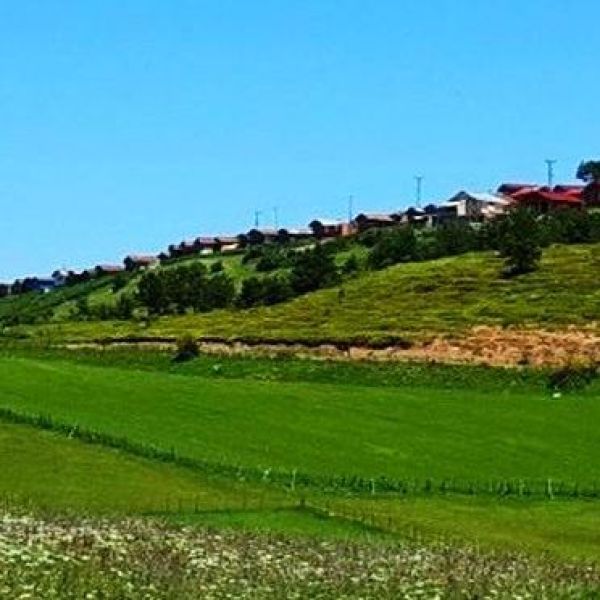 Karaçam Düden Yaylası › Gezi Rehberi | Başçiftlik | Tokat