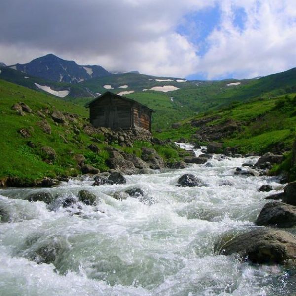 Haldizen Deresi › Gezi Rehberi | Çaykara | Trabzon