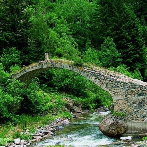 Altındere Vadisi Milli Parkı › Gezi Rehberi | Maçka | Trabzon